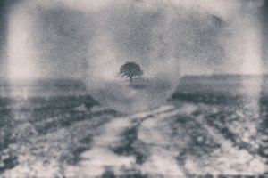 Il sentiero verso l