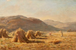 Raccolta vicino a Dumyat, colline di Ochil