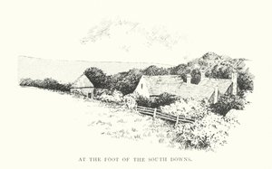 Ai piedi delle South Downs da Duncan Moul