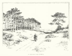 Sulla strada vicino a Hindhead da Duncan Moul