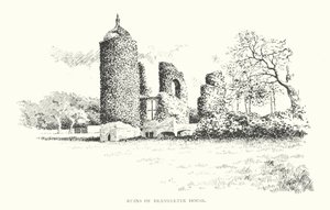 Rovine di Brambletye House da Duncan Moul