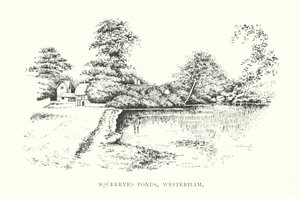 Stagni di Squerryes, Westerham