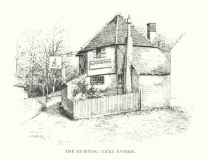La taverna dei Fighting Cocks