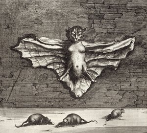 Un pipistrello noto come gatto volante, da China Illustrata di Athanasius Kircher (1601-80) 1667 da Dutch School