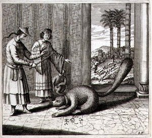 Un animale strano, da 