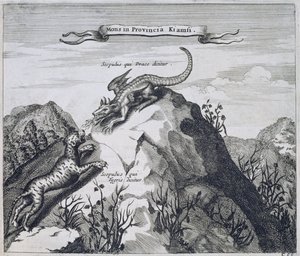 Una montagna nella provincia di Jiangxi con scogli noti come il Drago e la Tigre, da China Illustrated di Athanasius Kircher (1601-80) 1667