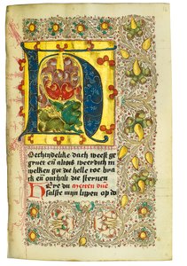 Libro d