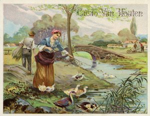 Allevamento di anatre da Dutch School