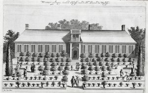 Giardino olandese, da De Nederlandze Hesperides di Jan Commelin, pubblicato nel 1676 da Dutch School