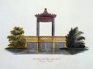 Illustrazione da Magazine of Garden Gems di G. van Laar, pubblicato nel 1802