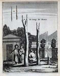 Alberi di lime e arance, da De Nederlandze Hesperides di Jan Commelin, pubblicato nel 1676 da Dutch School