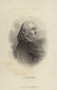 Petrus Camper da Dutch School