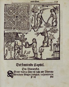 Piantare alberi, da Il Giardiniere Olandese di Johann van der Groen, pubblicato 1699 da Dutch School