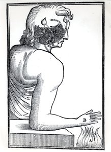 La percezione dei sensi, da De Homine Figuris di René Descartes (1596-1650) pubblicato ad Amsterdam, 1677