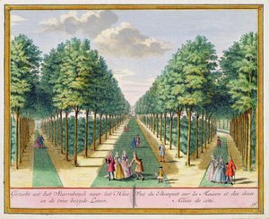 Vista del bosco verso la casa e le due vie laterali, Watervliet, da Het Zegenpralent Kennemerlant, di Hendrick de Leth e Matthias Brouerius Van Nidek, pubblicato c.1700-1730