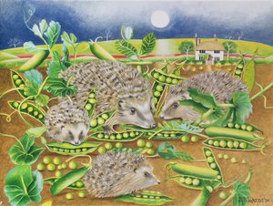 Ricci con piselli accanto a un campo di papaveri di notte