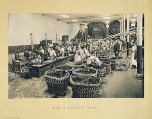 Imbottigliamento dello champagne, da La France Vinicole, pubblicato da Moet & Chandon, Epernay