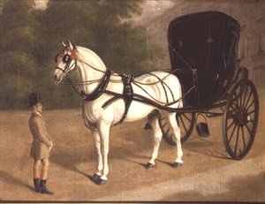 Un cavallo grigio e cabriolet con groom da E.M. Fox