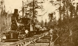 Una ferrovia per il trasporto del legname, Columbia Britannica da ENA