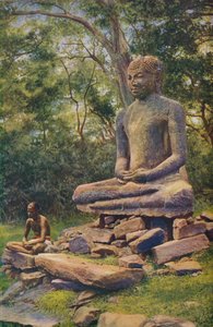 Ceylon da ENA