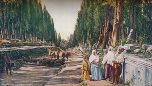 Costantinopoli, c1930