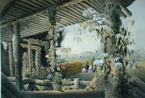 Vista dal Sedile Rustico, Shrublands, da 