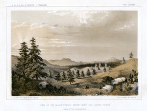 La Foresta Nera Mount Hope e Sierra Prieta, USA