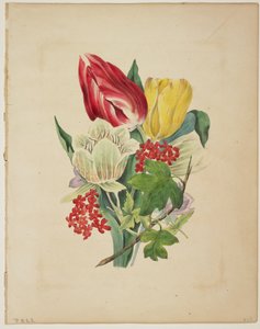 Bouquet di tulipani, da 