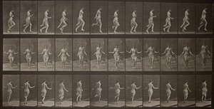 Locomozione Animale, Tavola 174, 1887 da Eadweard Muybridge