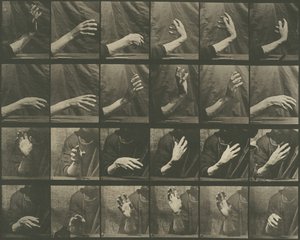 Locomozione animale, Tavola 535, 1887 da Eadweard Muybridge