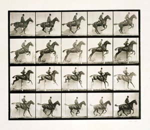Uomo e cavallo che saltano una recinzione, 1887 da Eadweard Muybridge