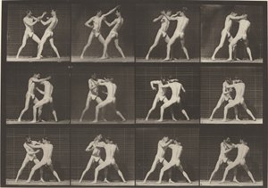 Piatto numero 340. Boxe, scarpe a mano aperta da Eadweard Muybridge