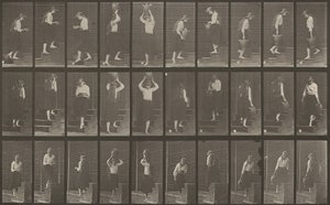 Piatto numero 504. Salendo e scendendo le scale da Eadweard Muybridge