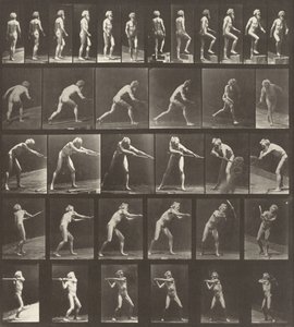 Tavola numero 521. A: Camminare. B: Salire un gradino. C: Lanciare il disco. D: Usare una pala..., 1887 da Eadweard Muybridge