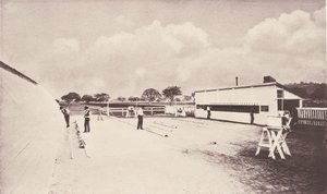 Il cavallo in movimento come mostrato dalla fotografia istantanea. Con uno studio sugli animali..., 1881-1882 da Eadweard Muybridge
