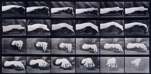 Studio del movimento di una mano, c.1872-1885