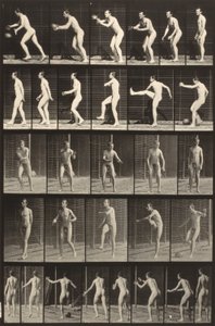 Locomozione animale (piatto 300) (Uomo che calcia una palla) da Eadweard Muybridge