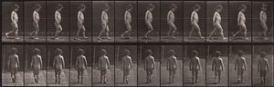 Locomozione animale, Tavola 467 da Eadweard Muybridge