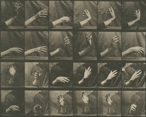Locomozione animale, tavola 535 da Eadweard Muybridge