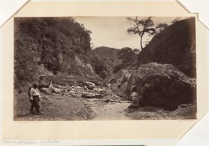 Barranca of Ynsiensi, Guatemala da Eadweard Muybridge