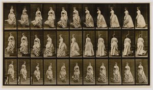 Scendere le scale e girare, dal libro La locomozione degli animali da Eadweard Muybridge