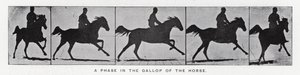Eadweard Muybridge: Una fase del galoppo del cavallo (foto in bianco e nero)