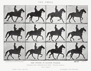 Eadweard Muybridge: L