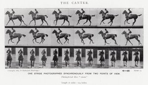 Eadweard Muybridge: Il galoppo lento