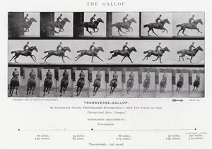 Eadweard Muybridge: Il galoppo