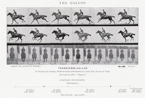 Eadweard Muybridge: Il galoppo