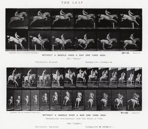 Eadweard Muybridge: Il salto da Eadweard Muybridge