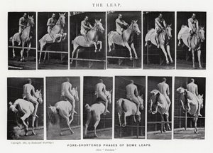 Il salto da Eadweard Muybridge