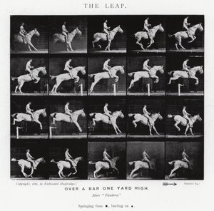 Eadweard Muybridge: Il salto da Eadweard Muybridge