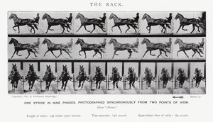 Il galoppo da Eadweard Muybridge